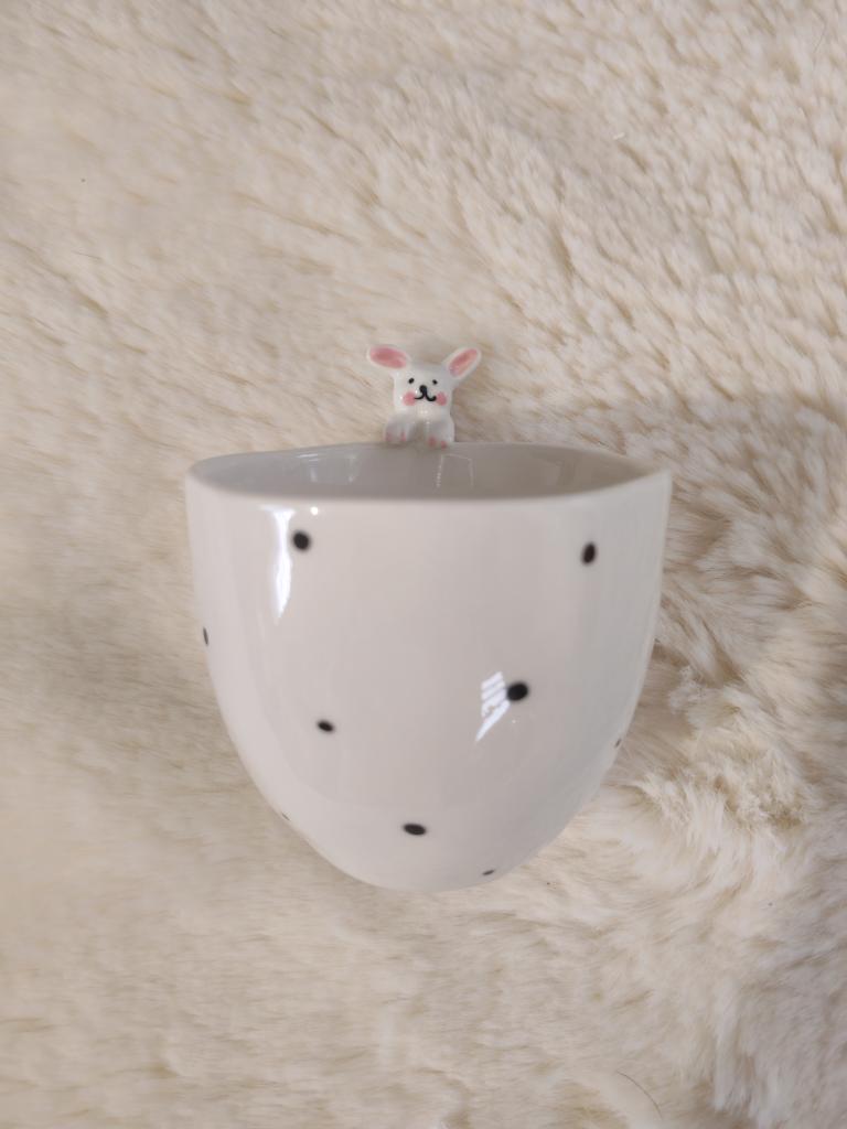 Taza Pet Friendly